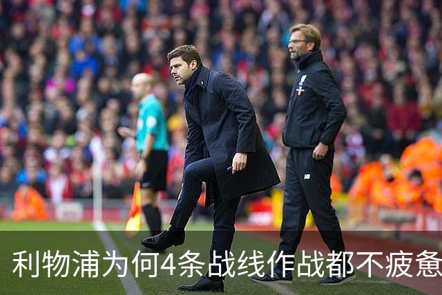 利物浦为何4条战线作战都不疲惫？渣叔这策略是关键